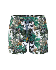 WILD ZEBRA SWIMSHORTS